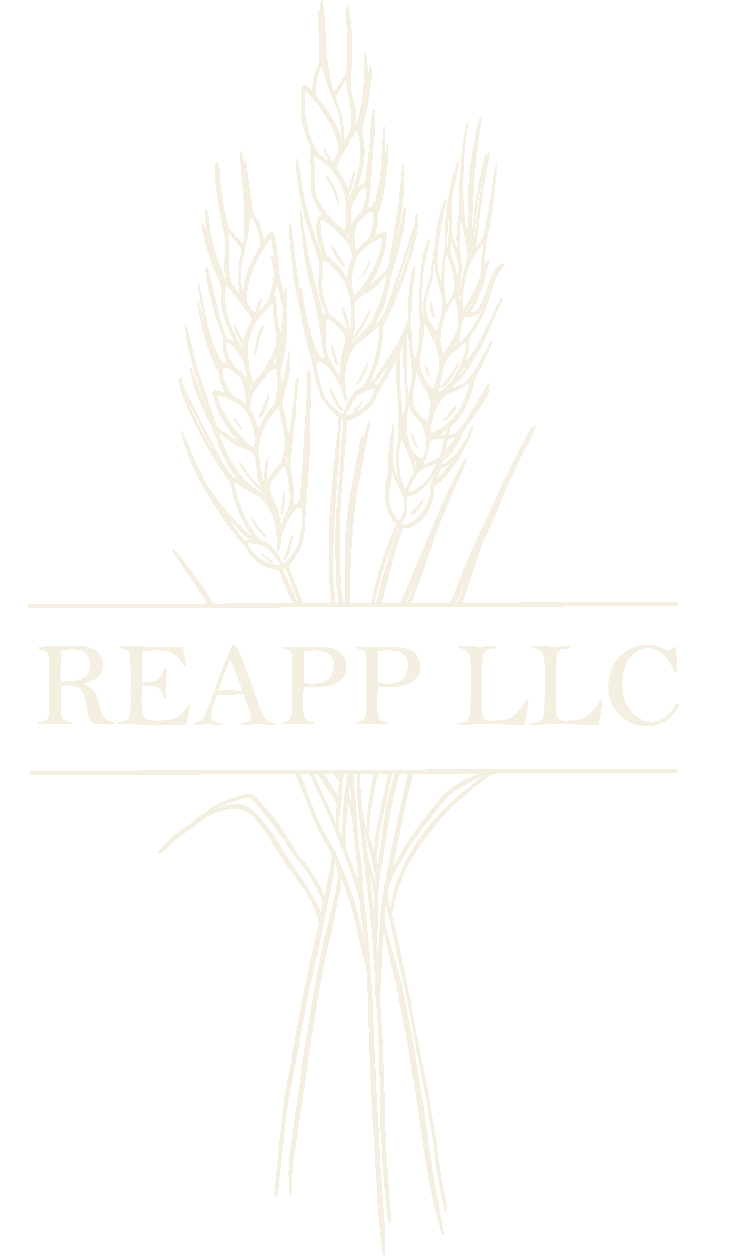 REAPP LLC